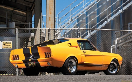 Muscle Cars Fans