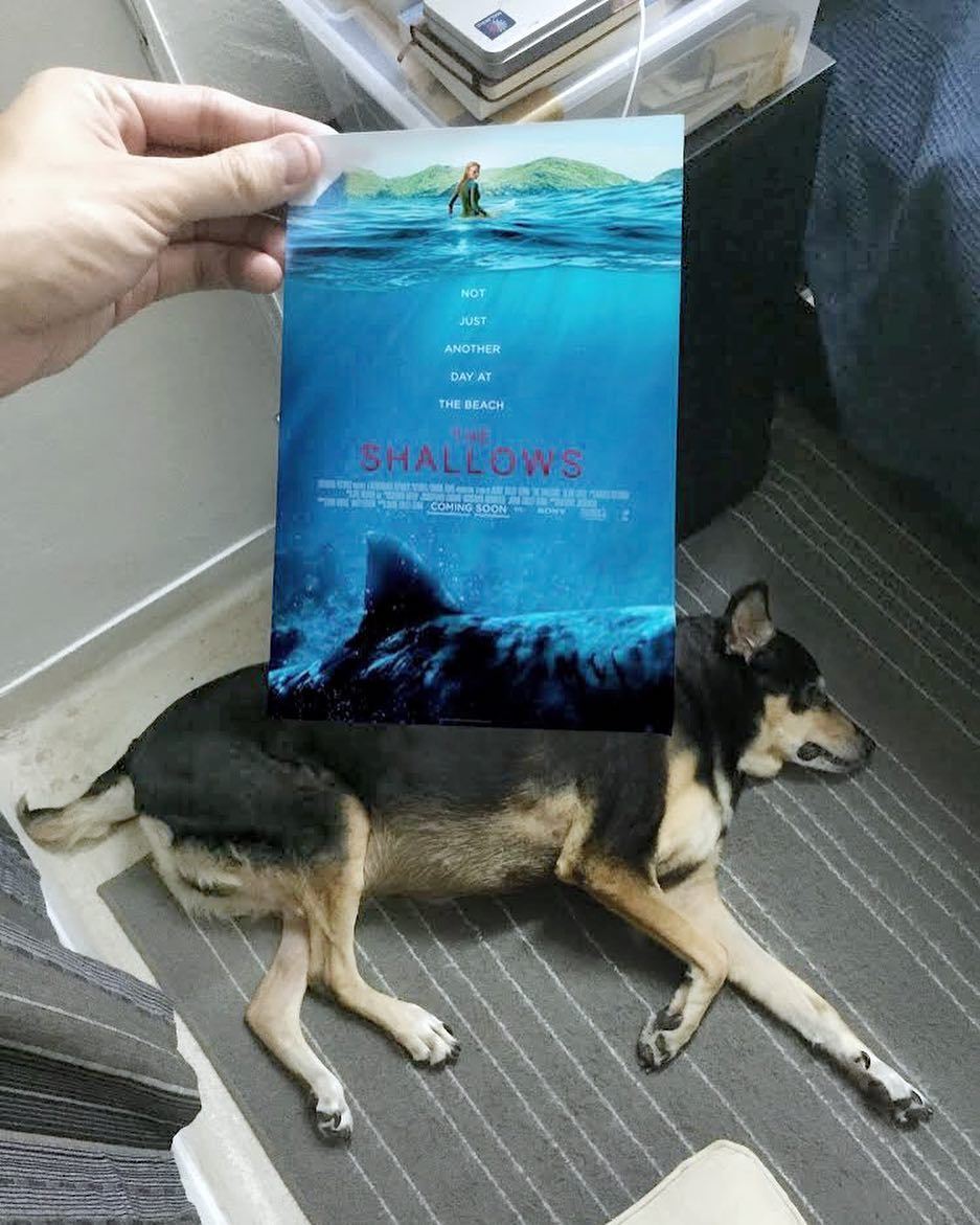 Hilarious Instagram movie poster mash-ups