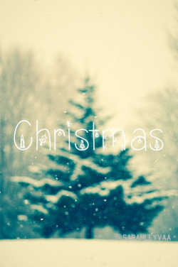 bluezipper:  Christmas|Via Tumblr on We Heart It - http://weheartit.com/entry/89526680