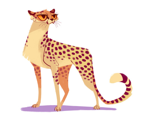 dailycatdrawings:254: CheetahI love cheetahs :>