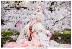 minori0000:    「Cherry blossoms -2-」Minori