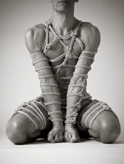 Male Shibari