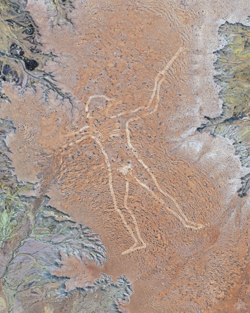 dailyoverview: The Marree Man, also known as Stuart’s Giant, is a modern geoglyph atop a plateau at 