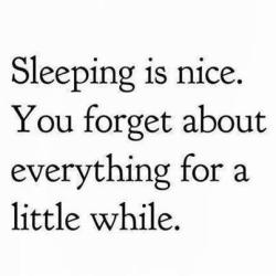 quotes-and-gifs:  relatable posts on your dash!