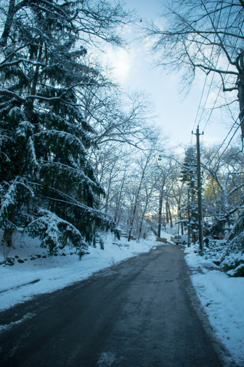 ladylandscape:  january (by elizabeth binks ~)