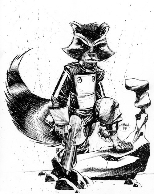 charactermodel: Rocket Racoon by Shawn Crystal