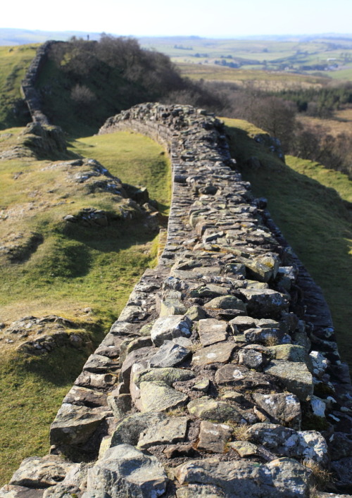 geologicaltravels:2013: Hadrian’s Wall sitting atop Carboniferous dolerites of the Whin Sill t