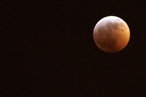 tmcphotography: Super Blood Wolf Moon Eclipse
