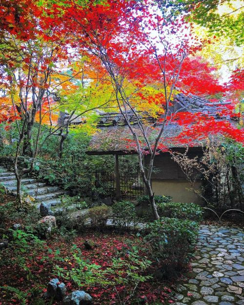 厭離庵庭園 [ 京都市右京区 ] ② Enrian Temple Garden, Kyoto ーー紅葉期のみ特別公開新古今和歌集・小倉百人一首を編纂した歌人 #藤原定家 の小倉山荘跡に近代に作庭された