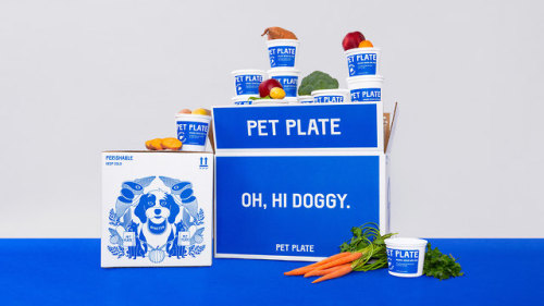 escapekit: Pet Plate NYC-based design firm &amp;Walsh (Jessica Walsh’s new shop) has 