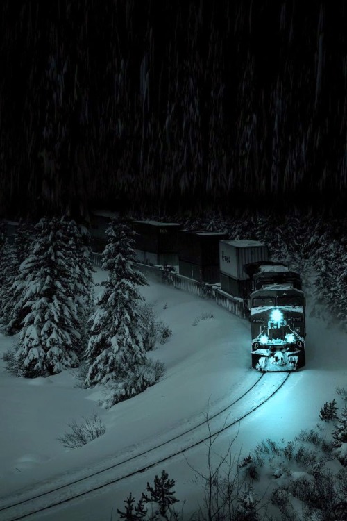 ginvandegreif: Train of the Night