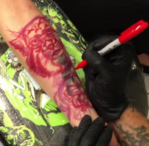 Freehand cat portrait cover up by artist Neil England @england508 at Empire Tattoo Boston!  @empire_