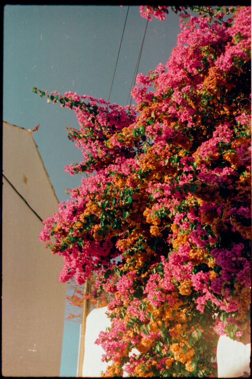 blu27nature: a typical summer day in algarve - 2019