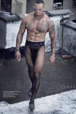 David McIntosh