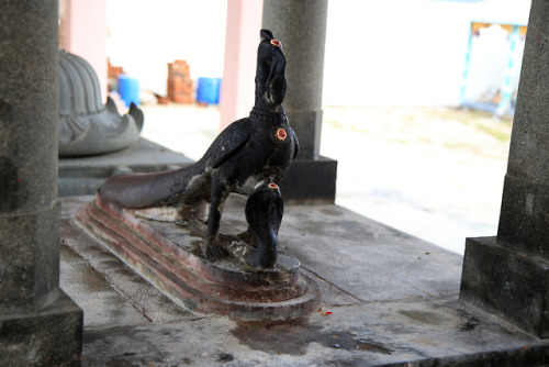 Mayura (peacock) vahana (vehicle, mount) of Murugan, Tamil Nadu