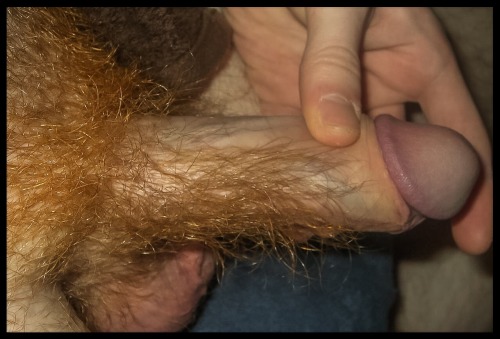 sammyraygordon:  bearservice: Man, i’d love to feel that hairy shaft in my mouth…   SNIFF SNIFF SNIFF