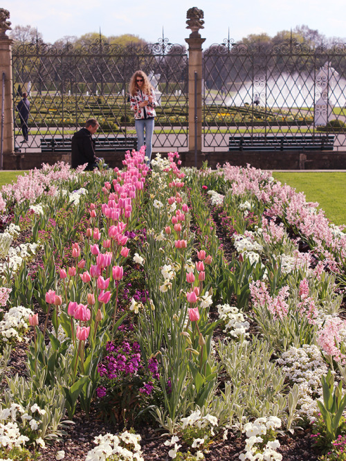 Mesmerizing gardens in Hannover (tulips, hyacinths&co.).