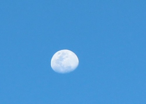 Canon Lua 