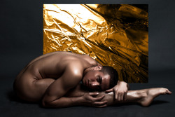 CHERUB (SAMUEL) gold series - the arc and the return photographed by landis smithers