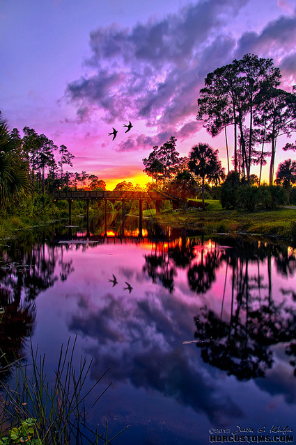 Purple sunset over Riverbend Park in Jupiter, FL by HDRcustoms (very busy) on Flickr.