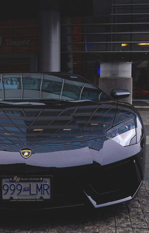 stayfr-sh:  Aventador | SF
