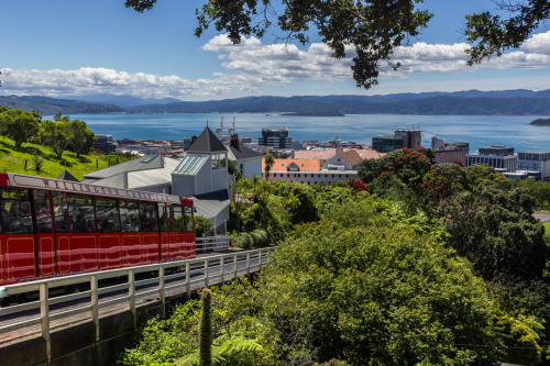 Wellington, New Zealand