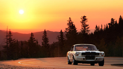 Eat.Sleep.Breathe.Cars
