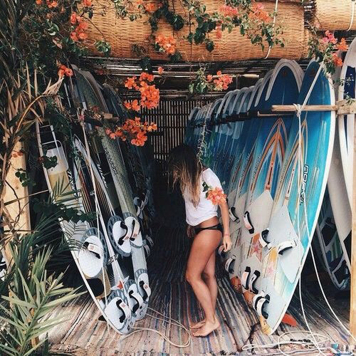 asurferdreams:  Surfing posts