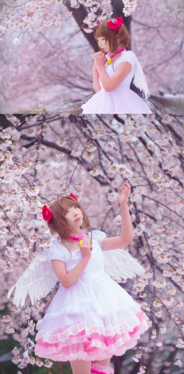 咲満桜８月１２日さくらちゃん❤️プール 撮影さんはTwitterを使っています 「カードキャプターさくらコスプレ 私の世界　 夢と恋と不安で出来てる ちいさな光だけど何時かは もっと もっと つよくな