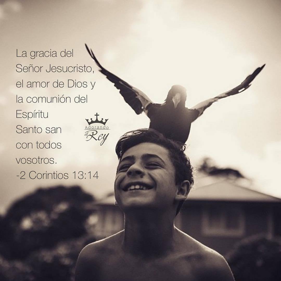 «La gracia del Señor Jesucristo, el amor de Dios, y la comunión del Espíritu Santo sean con todos vosotros. Amén.»
‭‭2 Corintios‬ ‭13:14‬ ‭
#Dios #Jesus #JesusCristo #JesuCristo #Cristo #EspirituSanto #EspirituDeDios #Jehova #Cristianismo #Comunion...