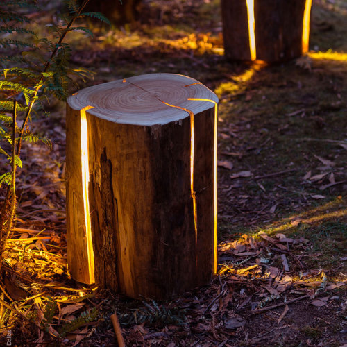 asylum-art-2:  Blind Artist Makes Cracked Log Lamps Bursting With Light  Duncan Meerding D