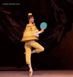 passionatedancing:   Nutcracker in a Nutshell [[click the gifs for captions]]  Bolshoi’s