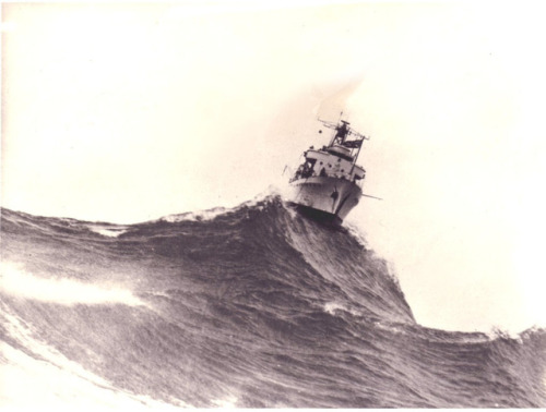 oledavyjones:  HMS Vidal  Laid  down 1950 in Chatham Dockyard, serves as survey ship, broken up 1976