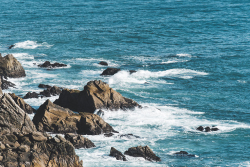 pkatkins:Point Reyes National Seashore