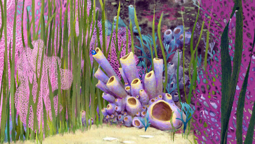 scurviesdisneyblog: Finding Dory concept art by Steve Pilcher and Rona Liu