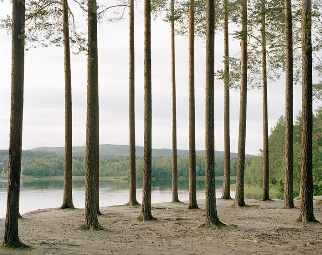 razorshapes:  Felix Odell - Landscapes