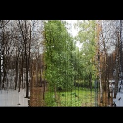9gag:  A picture in 365 slices. Each is one
