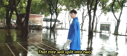 elaysium: yixing the eggplant-wielding tree-splitter 