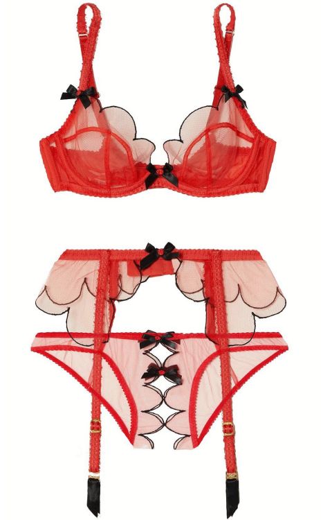 Agent Provocateur | Lorna • in red sheer tulle + black Austrian embroidery | Valentine’s 2022