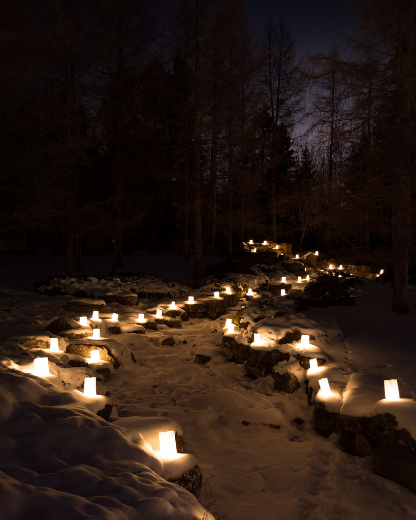 teleos:  Luminaria, Devonian Botanic Gardens, December 2015 by Julian Rossi 