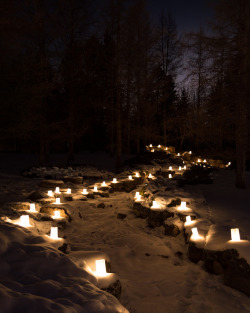 teleos:  Luminaria, Devonian Botanic Gardens, December 2015 by Julian Rossi 