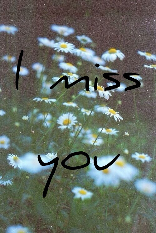 silly-luv:  ♡ find your best posts on my blog ♡