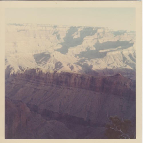 vilicity:  The Grand Canyon shot by my Grandmother in the 70′s 