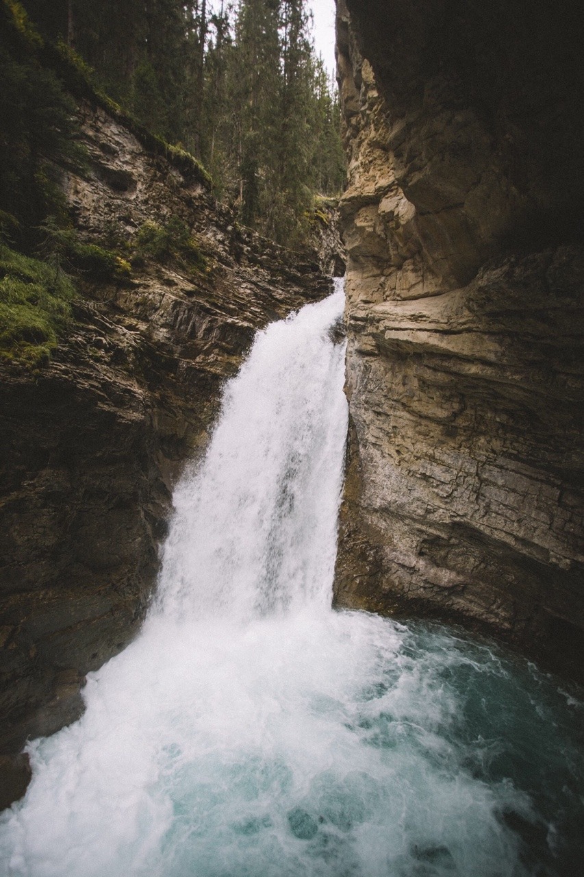 vhord:  chernobyl-tea-party:  kodiakstag:  Johnston Canyon //Alberta  Mostly nature