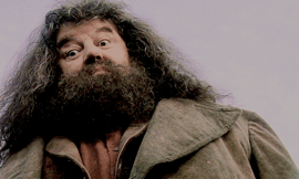 olympius: “A breeze ruffled the neat hedges of Privet Drive, which lay silent and tidy under the ink