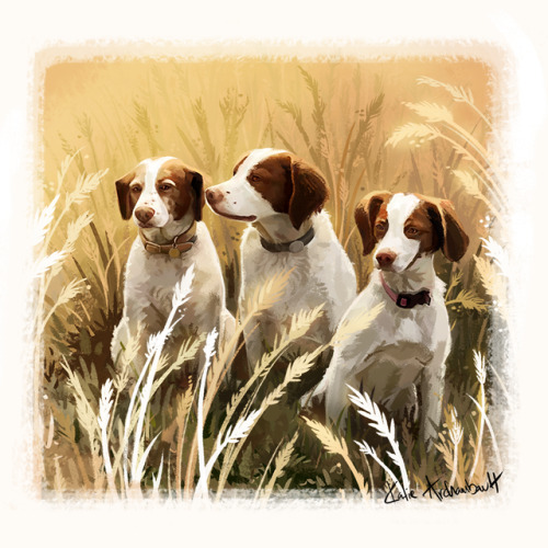 A triple dog portrait commission this time! Here we have Allie, Luke, and Jimmy Lynn.on dA