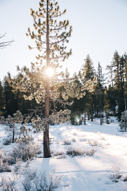 life on the road - driving through tahoe and nevada - january 2019