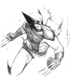 marvel1980s:  Wolverine by Olivier Coipel