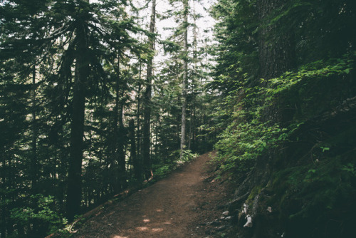 hannahkemp: Happy Trails