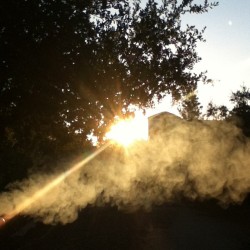 Morning Fog . #Smoke #Fog #Sun #Daytime #Sunrise #Shadow #Sky #Dope #Epic #Nice #Woah